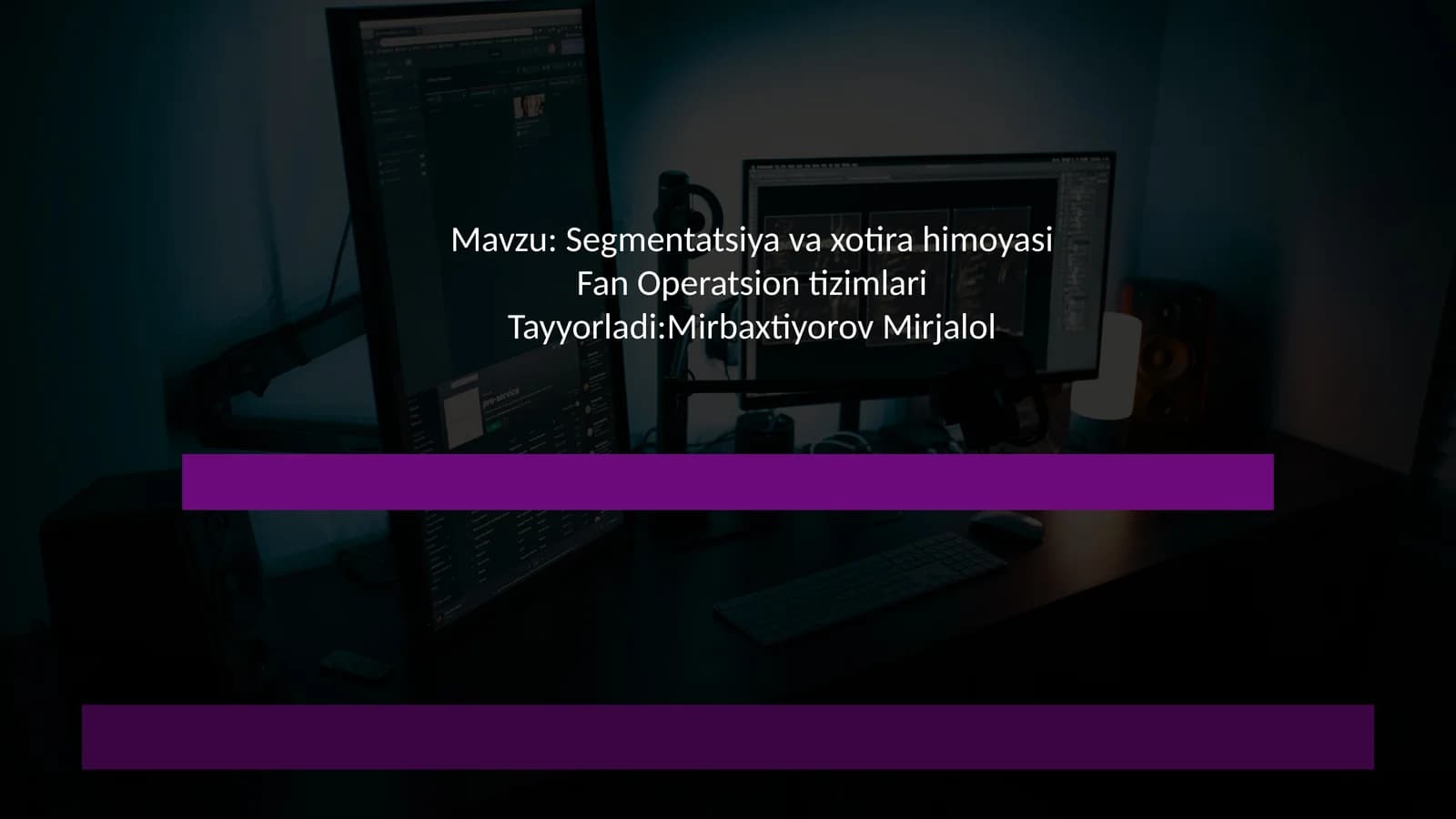 Segmentatsiya va xotira himoyasi