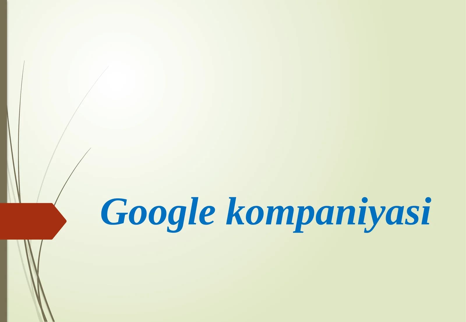 Google kompaniyasi