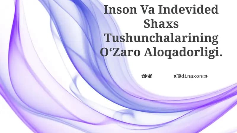 Inson Va Indevided Shaxs Tushunchalarining OʻZaro Aloqadorligi
