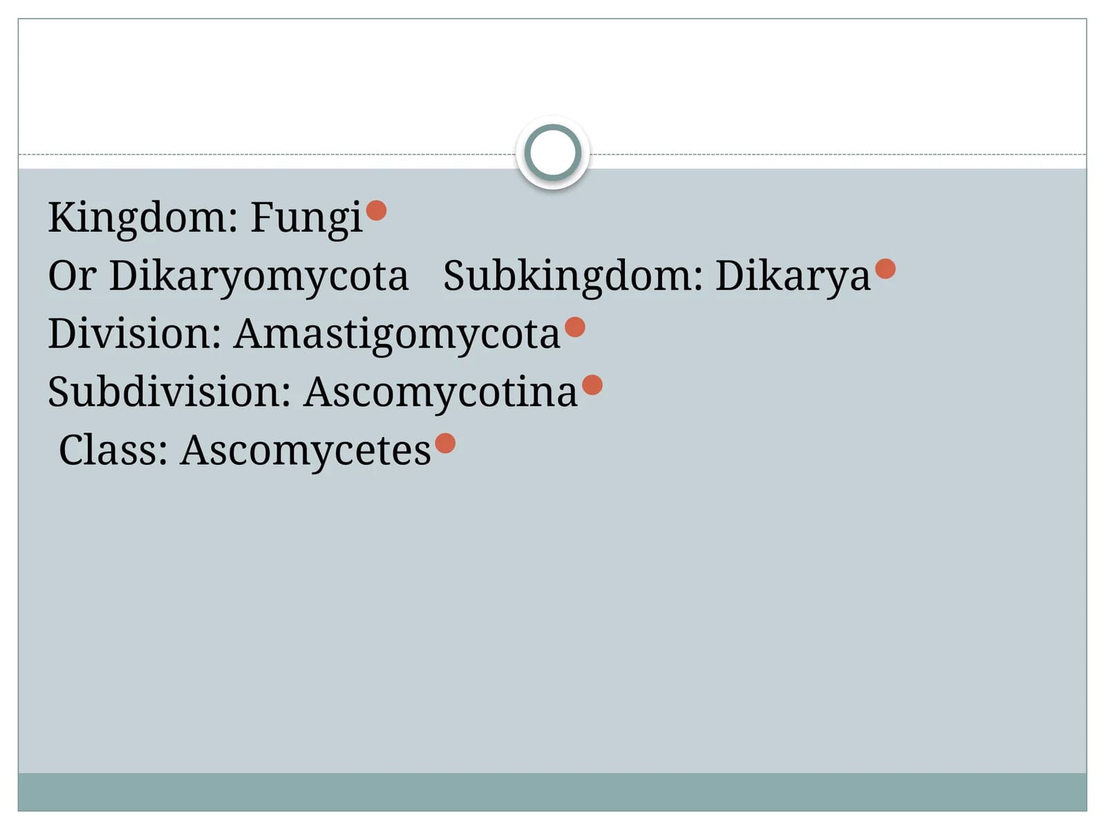 Ascomycetes