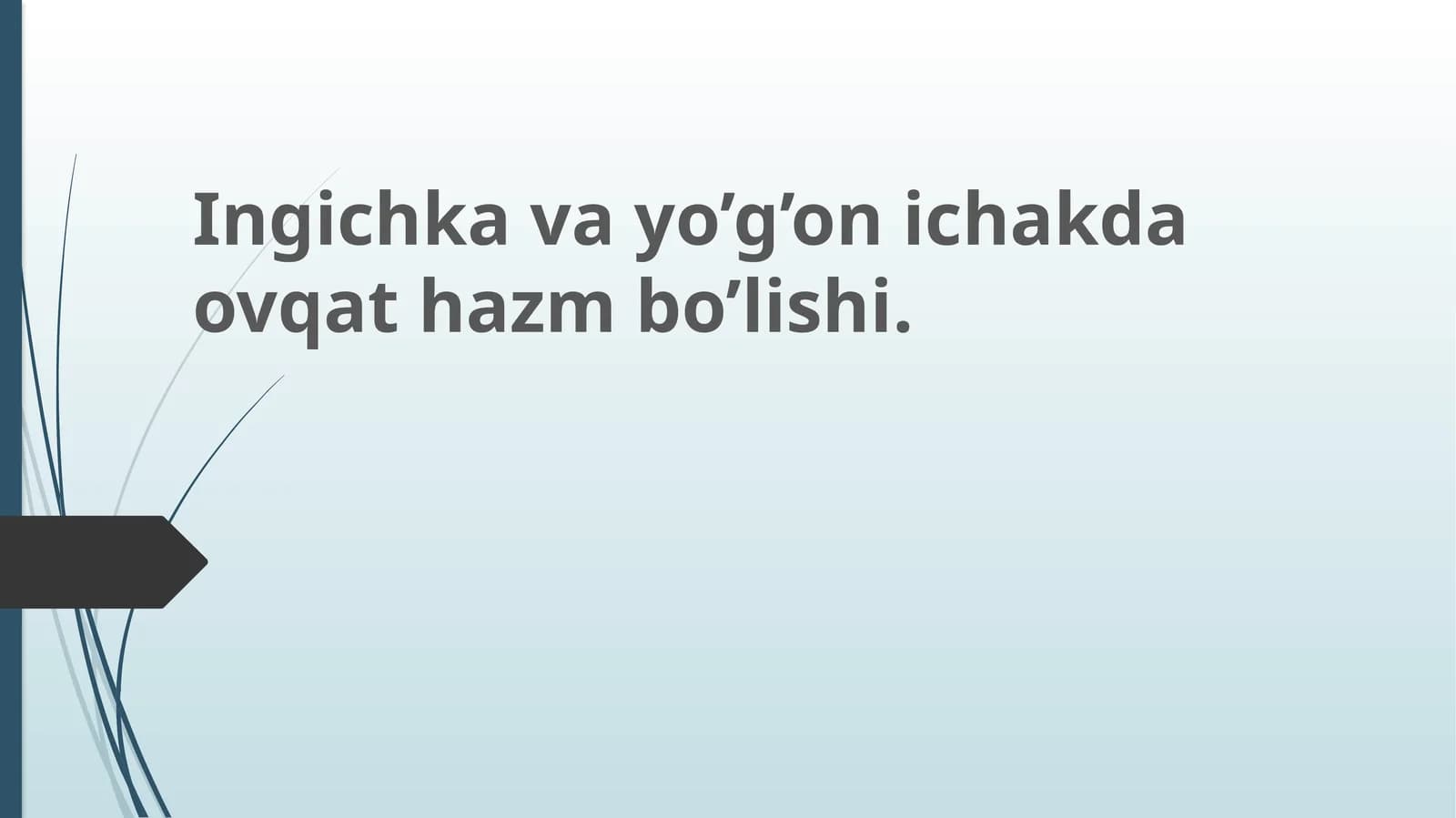 Ичак шираси таркиби ва хоссалари