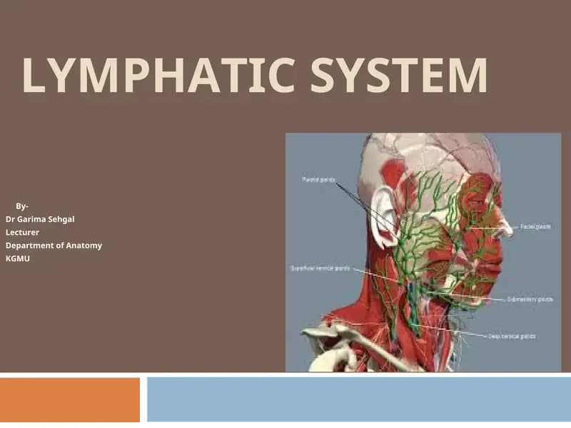 LYMPHATIC SYSTEM