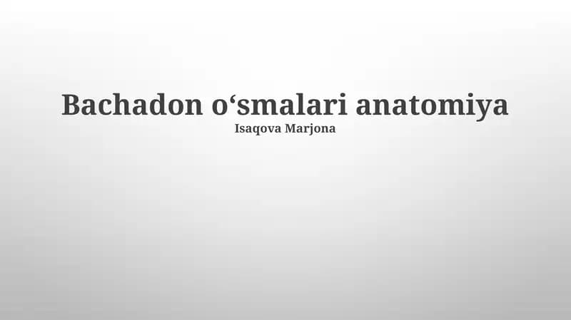 Bachadon oʻsmalari anatomiya