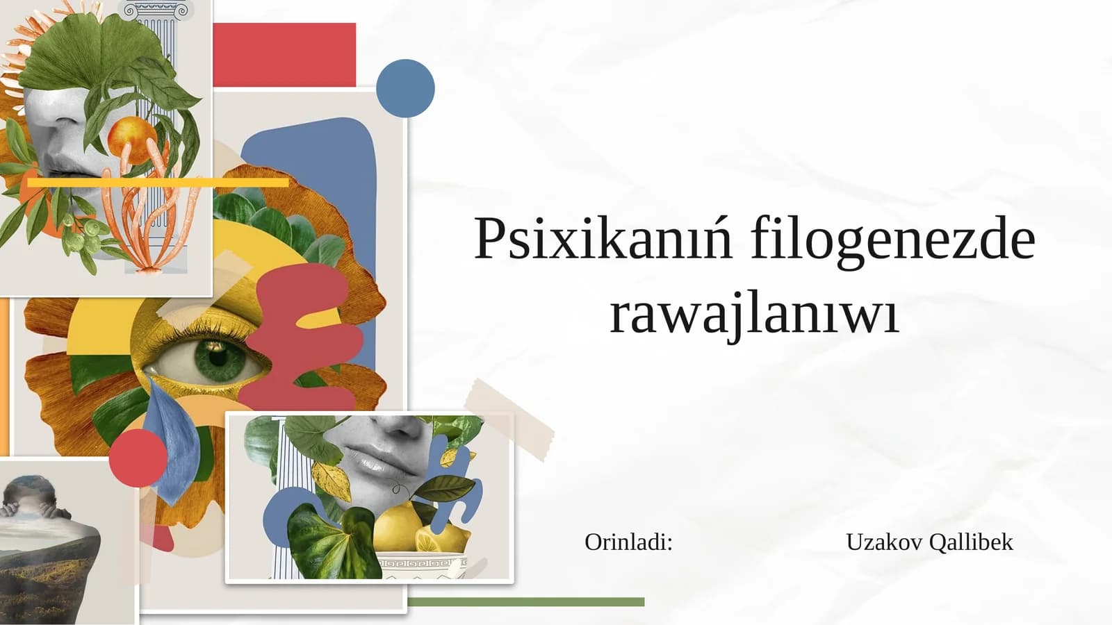 Psixikanıń filogenezde rawajlanıwı
