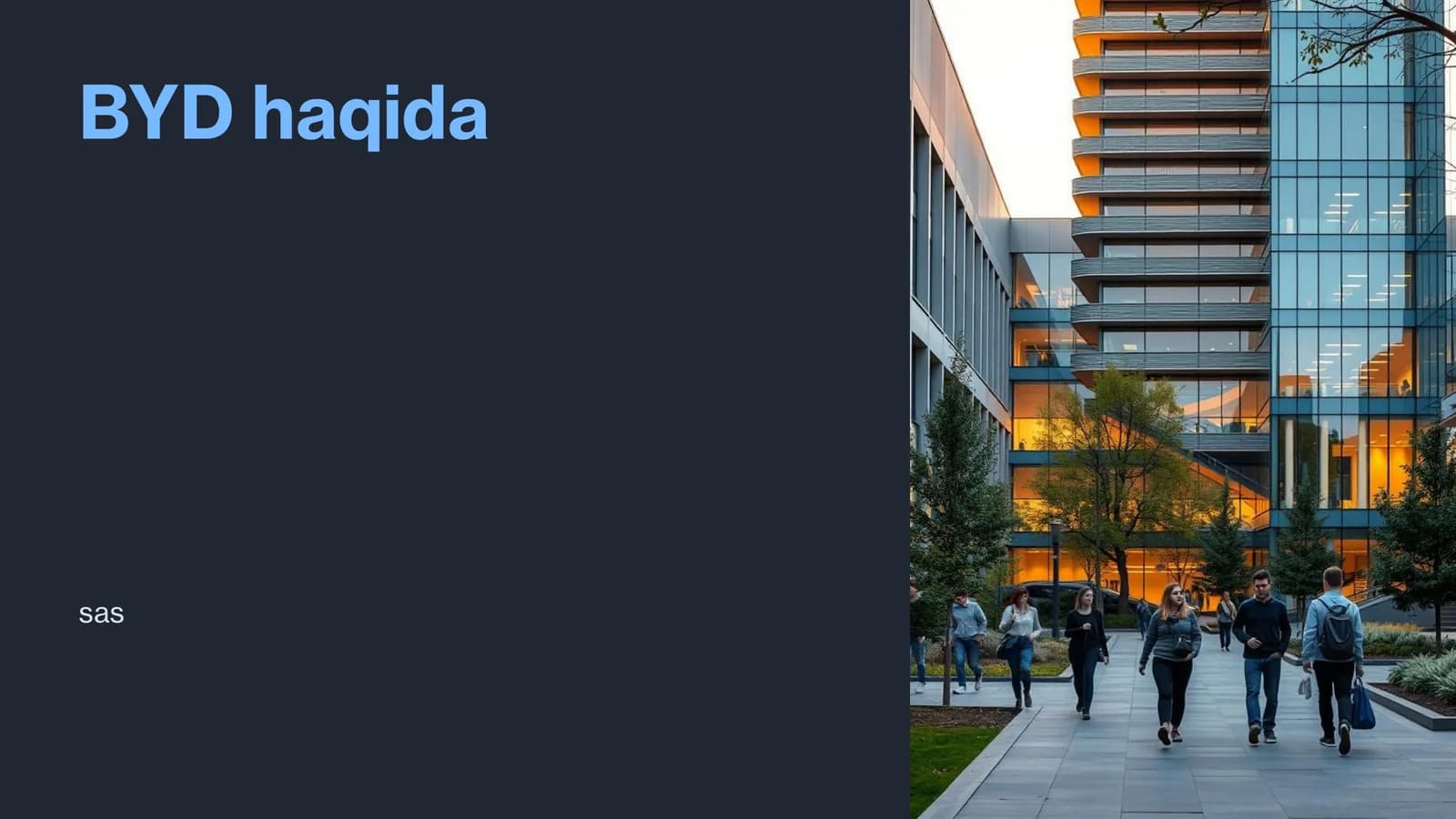 BYD haqida