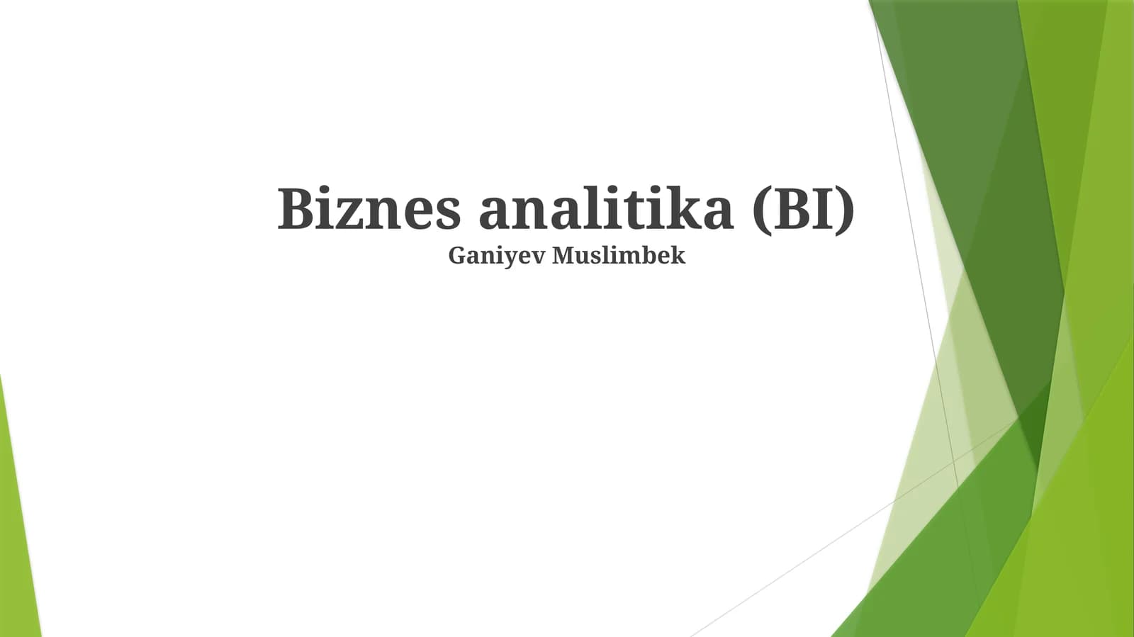 Biznes analitika (BI)