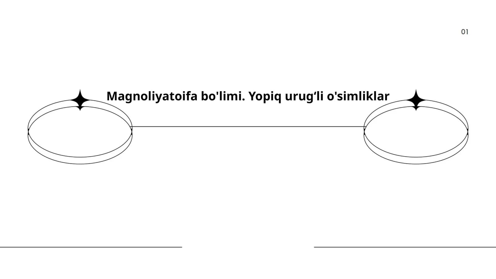 Magnoliyatoifa bo'limi. Yopiq urugʻli o'simliklar