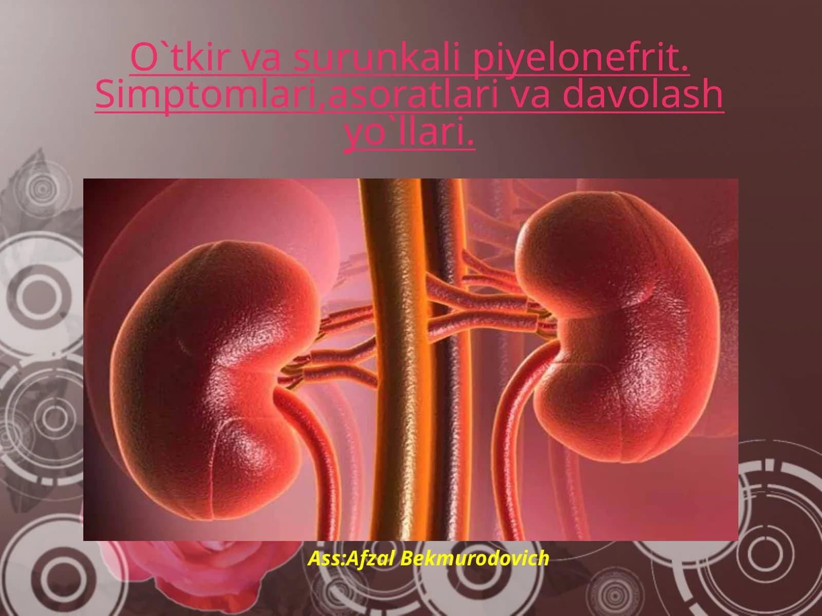 O`tkir va surunkali piyelonefrit. Simptomlari, asoratlari va davolash yo`llari