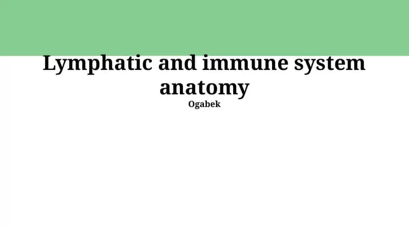 Lymphatic and immune system anatomy
