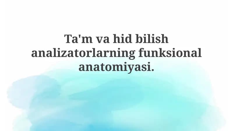 Ta'mvahidbilish analizatorlarning funksional anatomiyasi