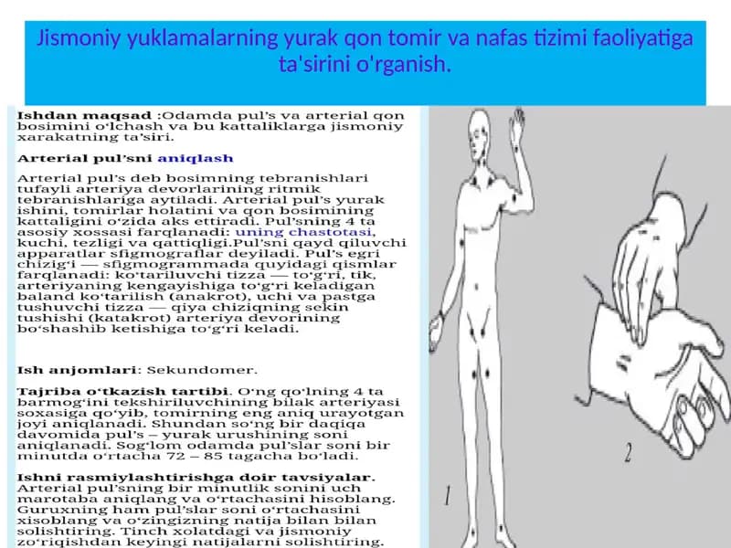 Jismoniyyuklamalarning yurak qontomir va nafas tizimi faoliyati gata'siri