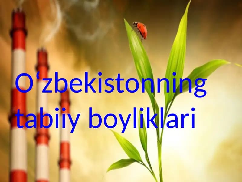 Oʻzbekistonning tabiiy boyliklari. Taqdimot