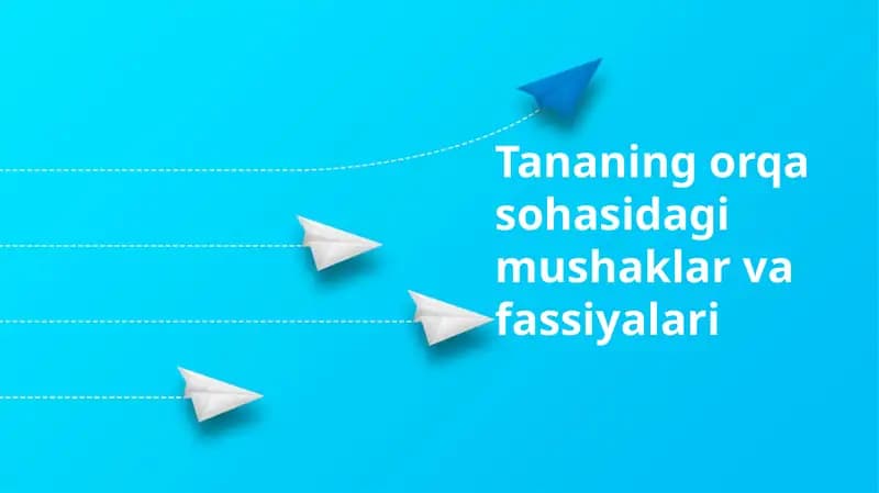 Tananing orqa sohasidagi mushaklar va fassiyalari