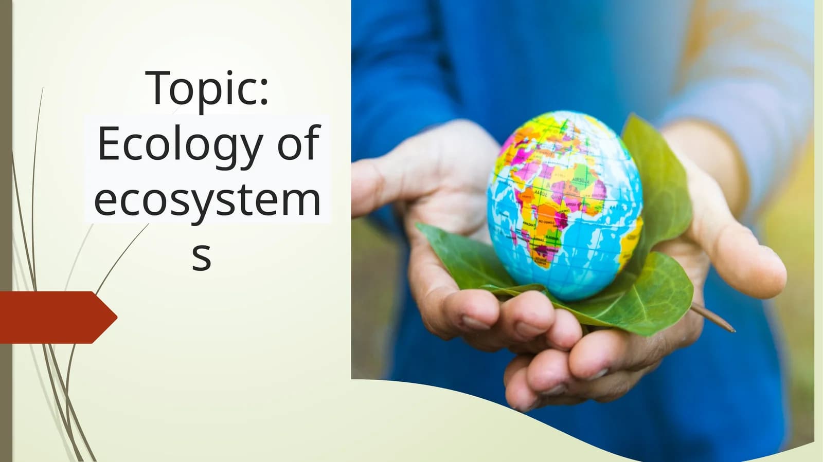 Ecology of ecosystems