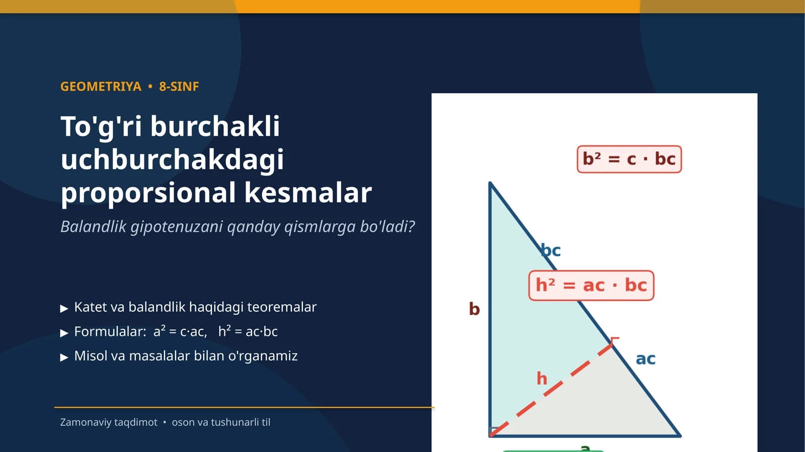To'g'ri burchakli uchburchakdagi proporsional kesmalar