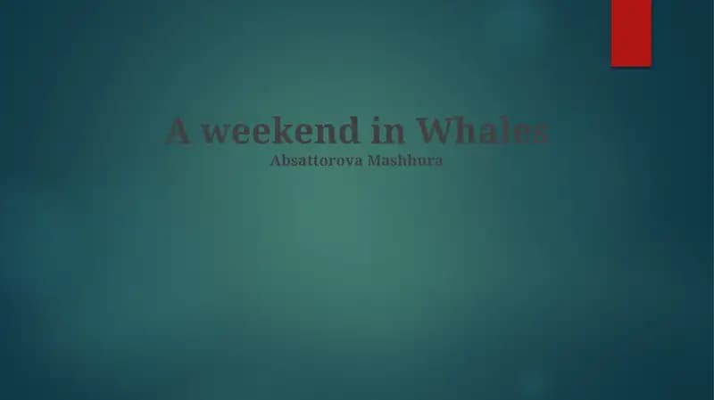 A weekend in Whales