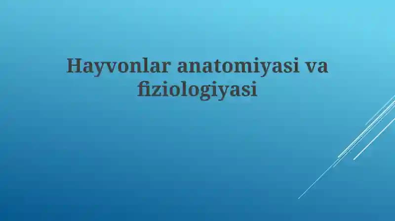 Hayvonlar anatomiyasi va fiziologiyasi