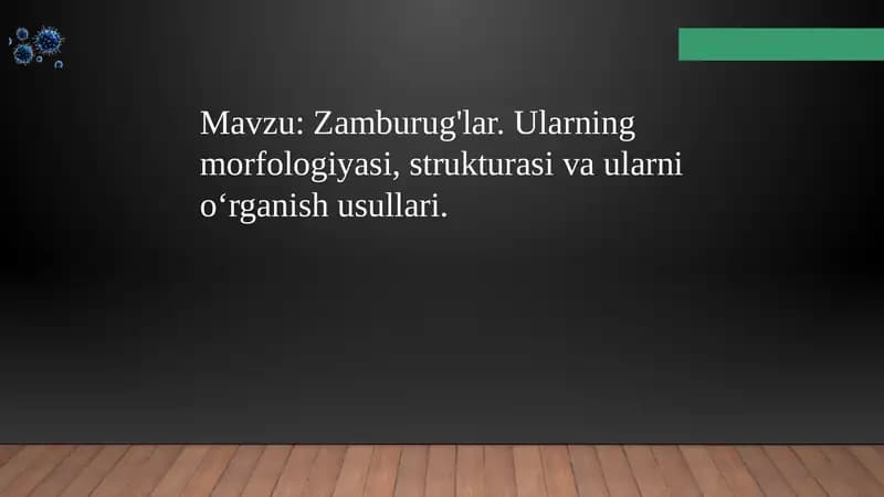 Zamburug'lar. Ularning morfologiyasi, strukturasi va ularni oʻrganish usullari.