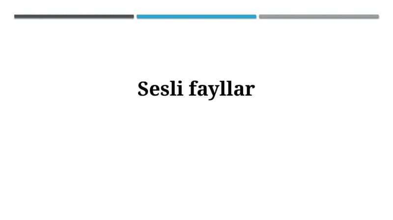 Audi fayllar
