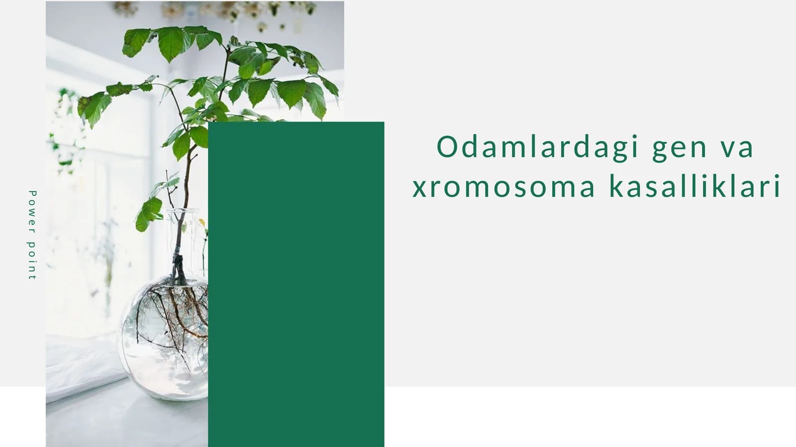 Odamlardagi gen va xromosoma kasalliklari