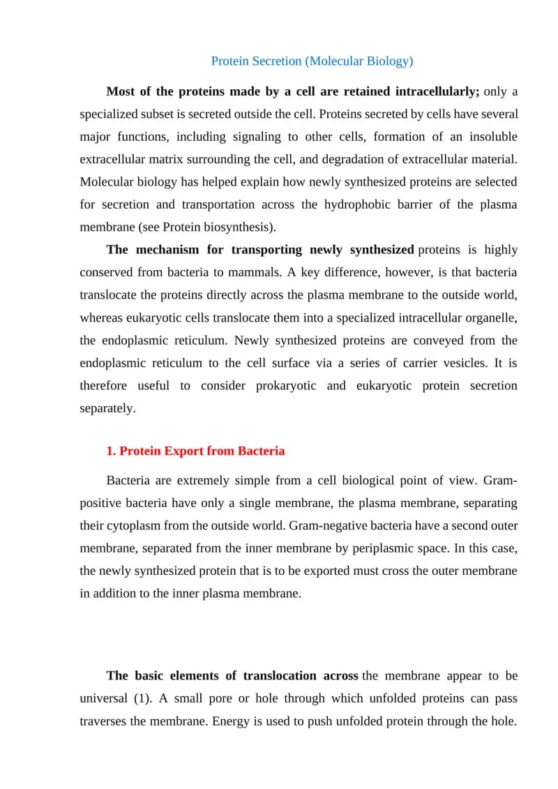 Protein Secretion (Molecular Biology)