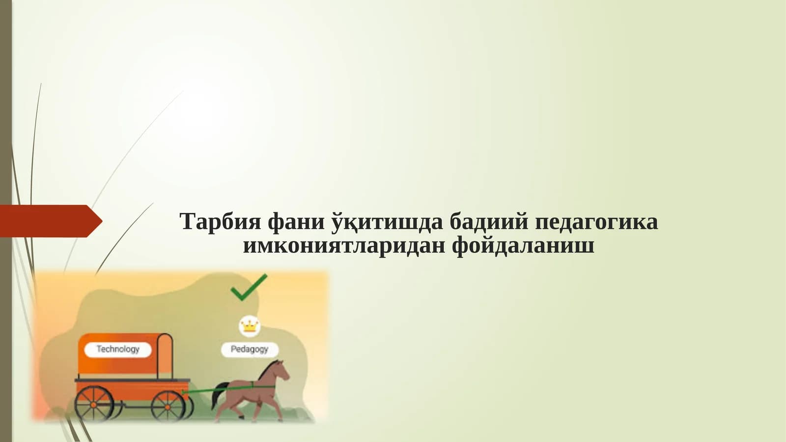 Тарбия фани уқитиш даражалари