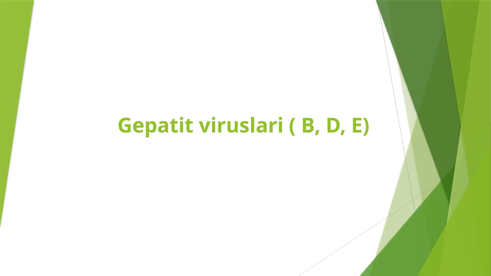 Gepatitviruslari( B,D, E)