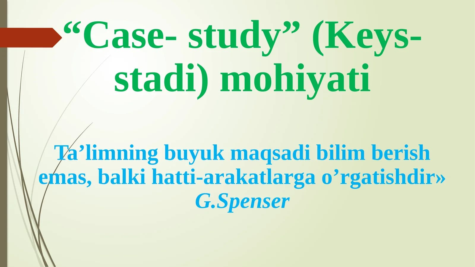 “Case- study” (Keys- stadi) mohiyati