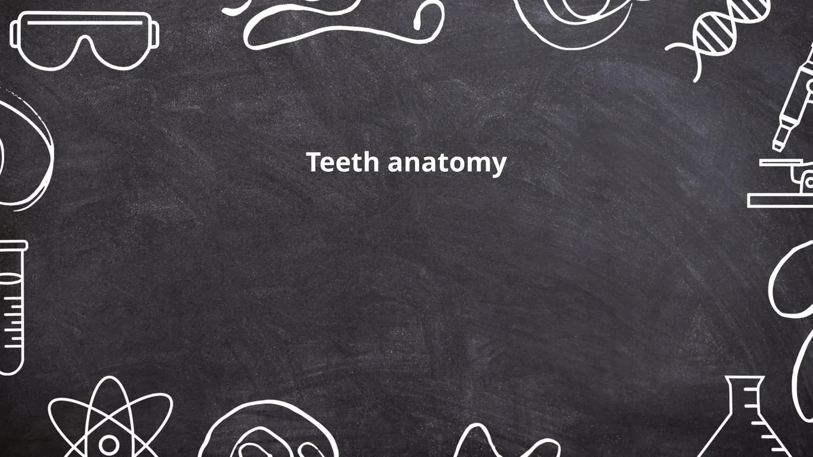 Teeth anatomy