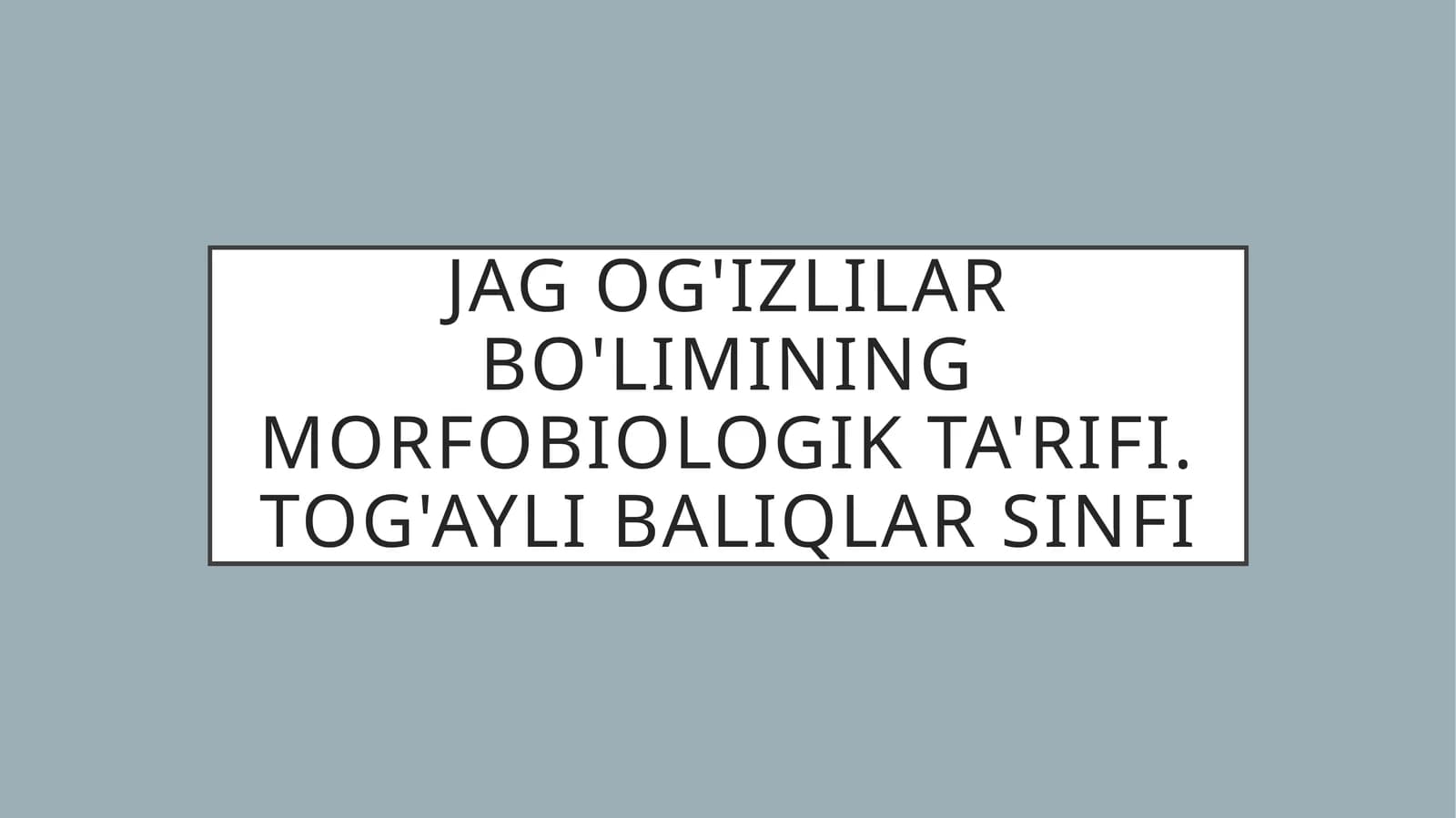 Jag og'izlilar bo'limining morfobiologik ta'rifi. Tog'ayli baliqlar sinfi