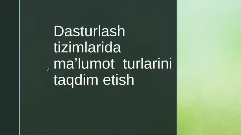 Dasturlash tizimlarida ma’lumot turlarini taqdim etish