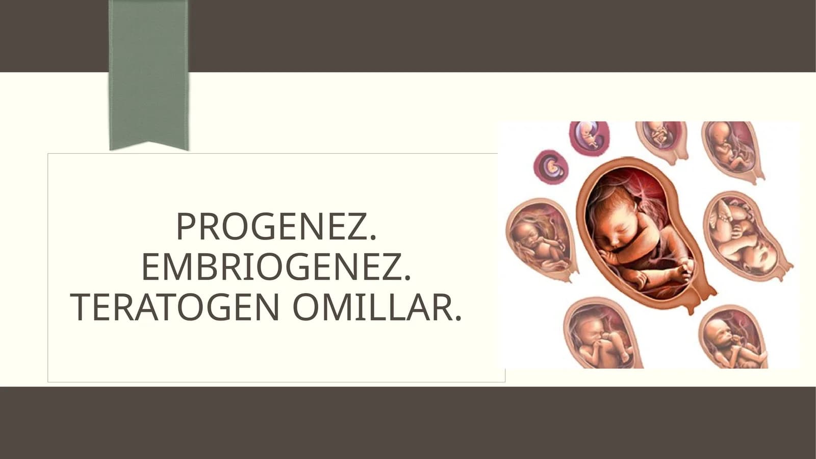 Progenez va EmbrIogenez
