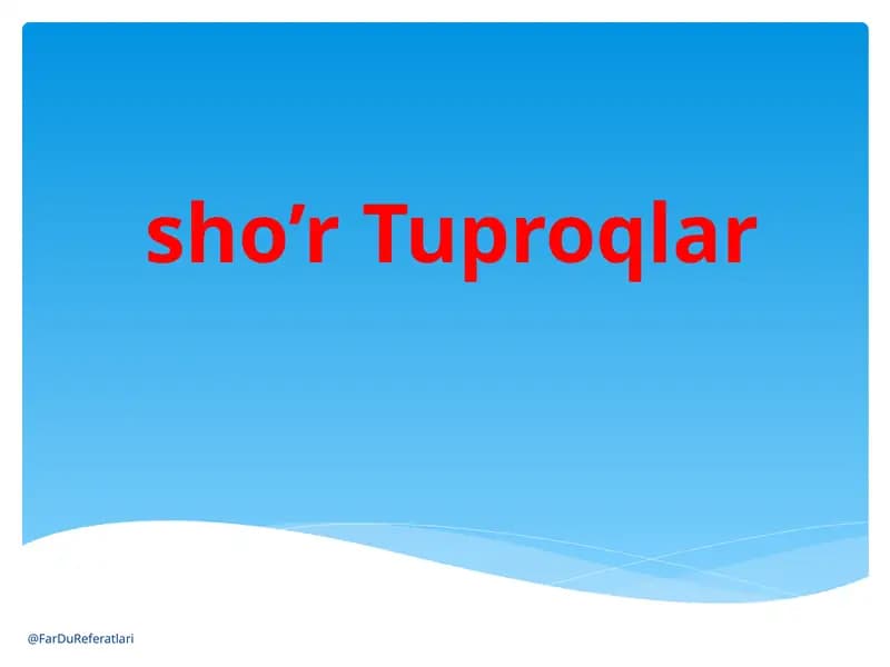 sho’r Tuproqlar