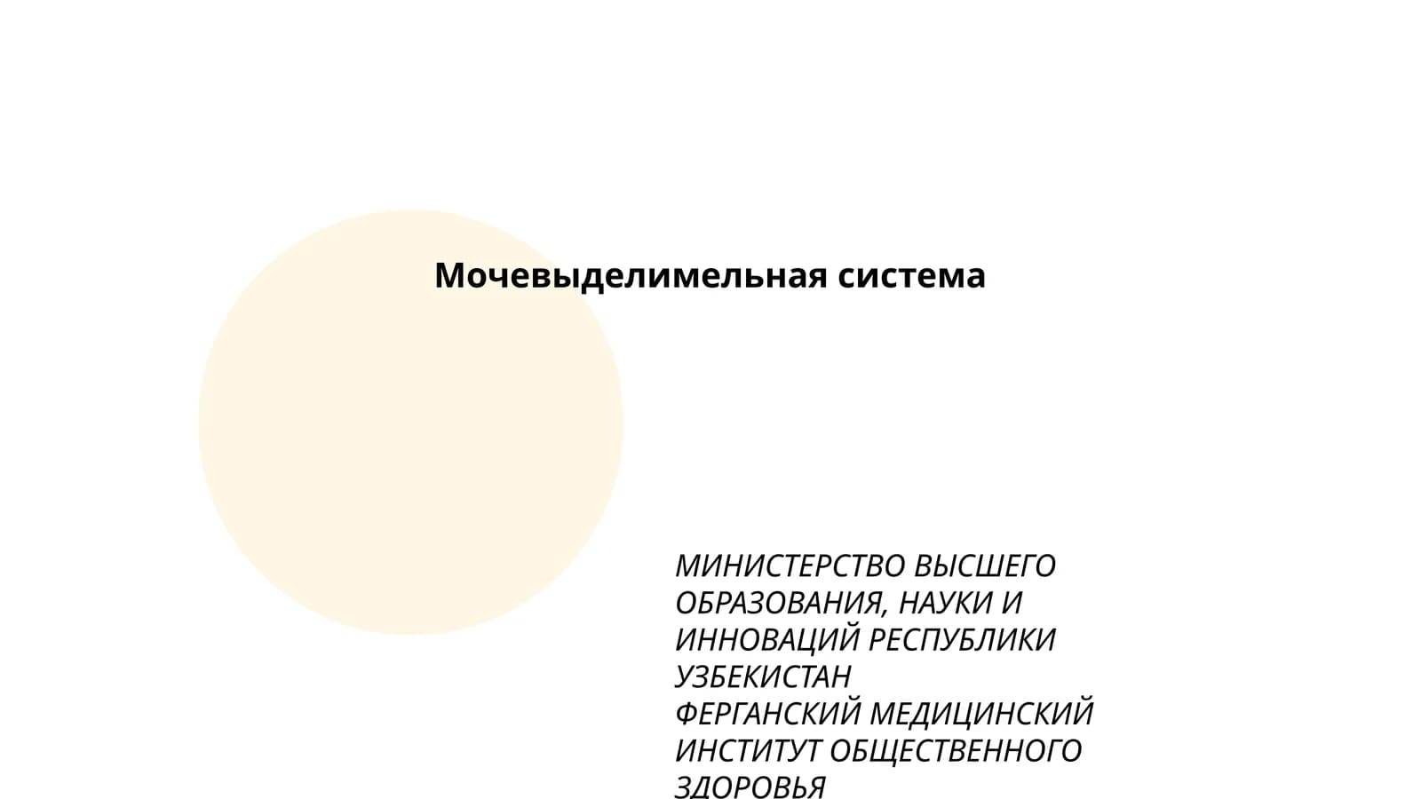 Мочевыделимельная система