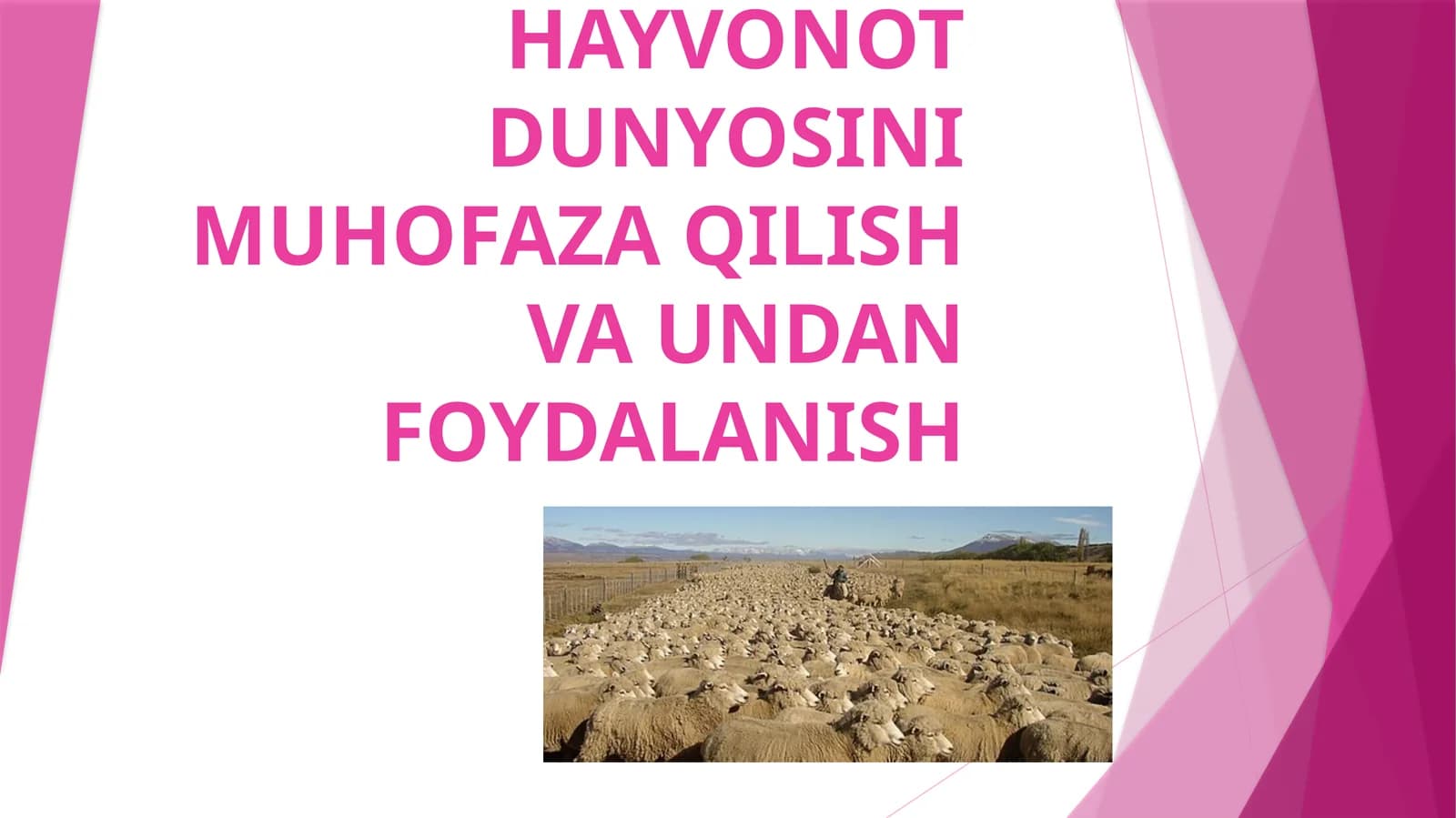 Hayvonot dunyosini muhofaza qilish va undan foydalanish