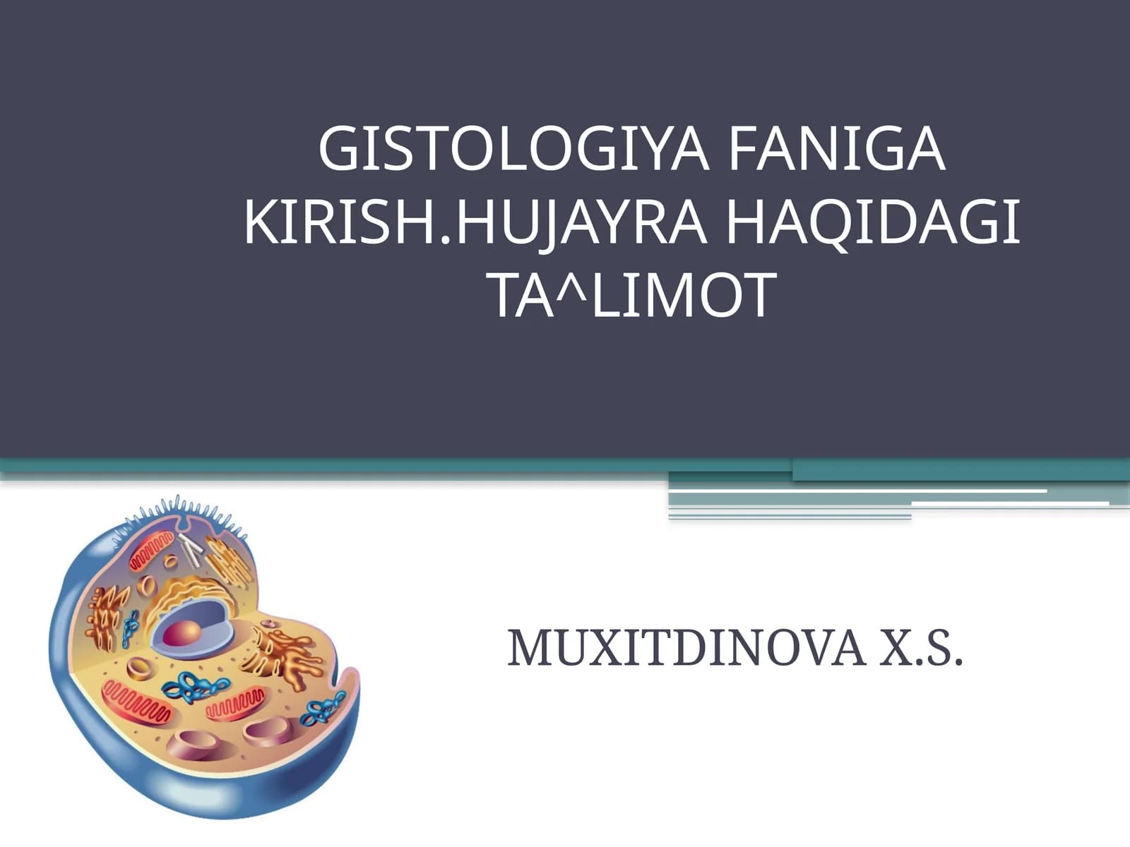 GISTOLOGIYA FANIGA KIRISH.HUJAYRA HAQIDAGI TA^LIMOT