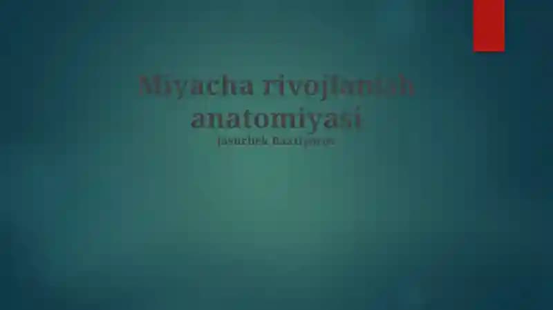 Miyacha rivojlanish anatomiyasi