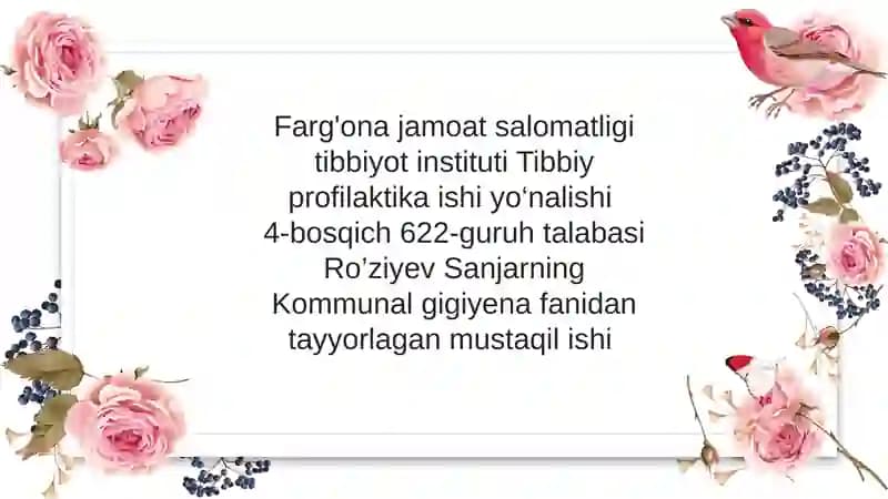 Hammomlar gigienasi