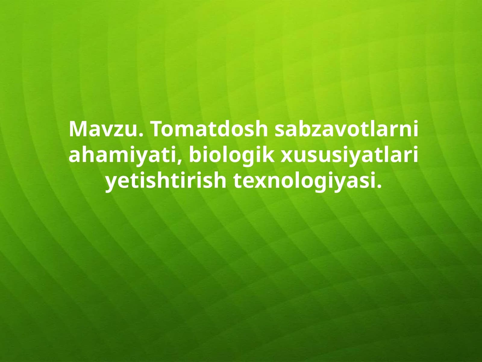 Pomidor ahamiyati, biologik xususiyatlari va texnologiyasi
