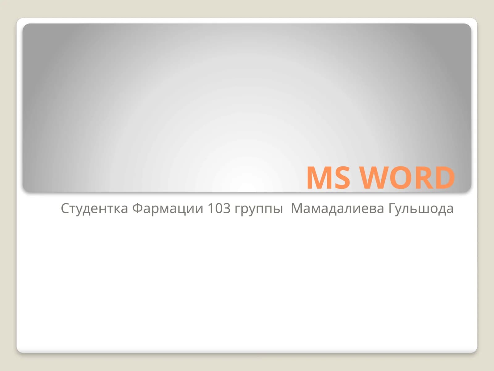 Microsoft Word