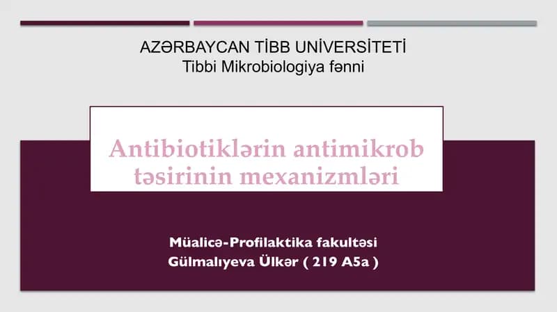 Antibiotiklərin antimikrob təsirinin mexanizmləri