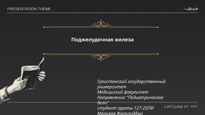 Поджелудочная железа