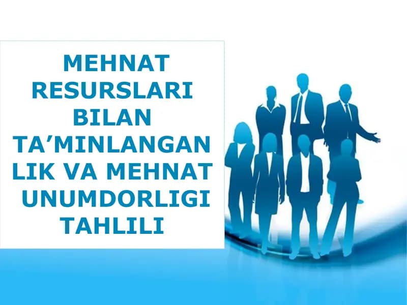 MEHNAT RESURSLARI BILAN TA’MINLANGANLIK VA MEHNAT  UNUMDORLIGI TAHLILI