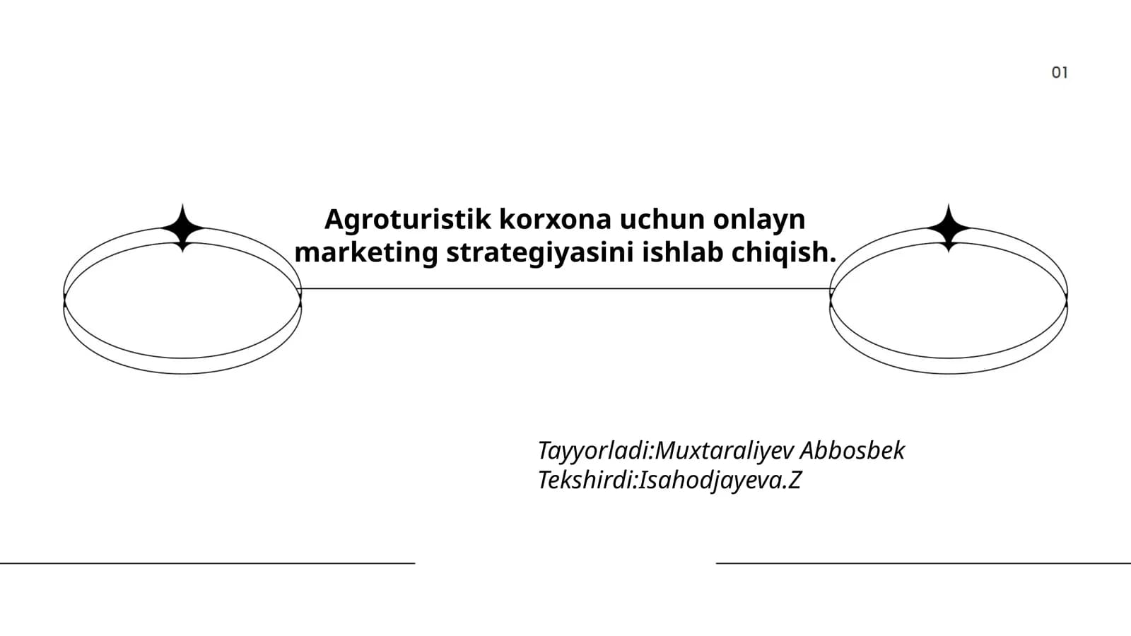 Agroturistik korxona uchun onlayn marketing strategiyasi