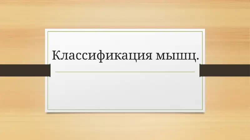 Классификация мышц