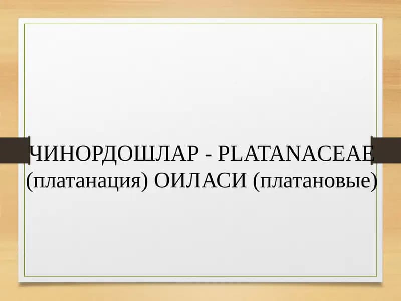 Чинордошлар- PLATANACEAE (платанация) ОИЛАСИ (платановые)