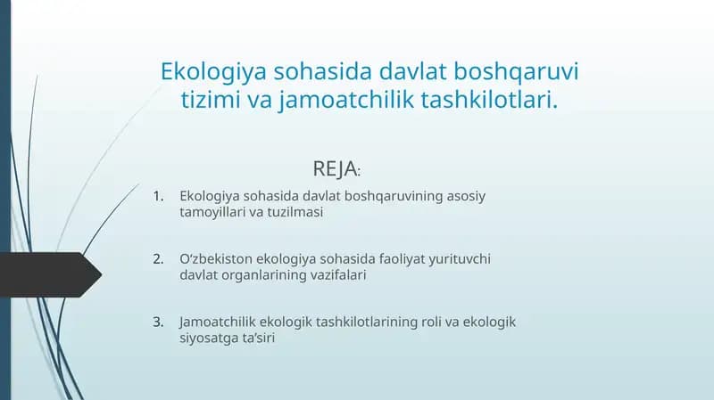 Ekologiyasohasida davlat boshqaruvining asosiy tamoyillari va tuzilmasi