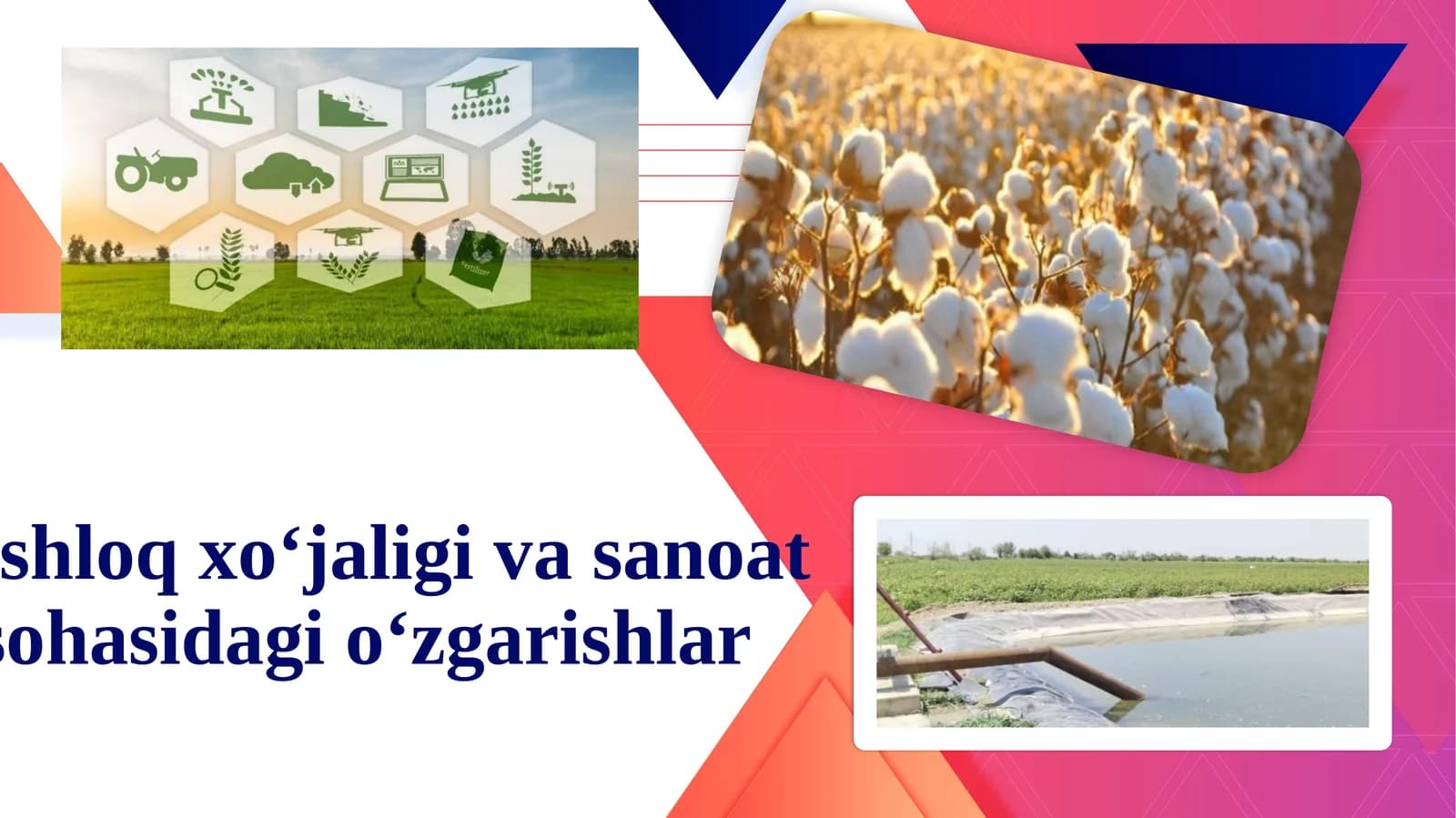 Qishloq xo‘jaligi va sanoat sohasidagi o‘zgarishlar
