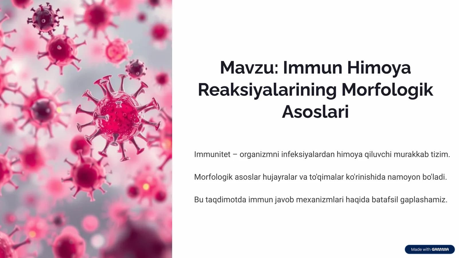 Immun Himoya Reaksiyalarining Morfologik Asoslari