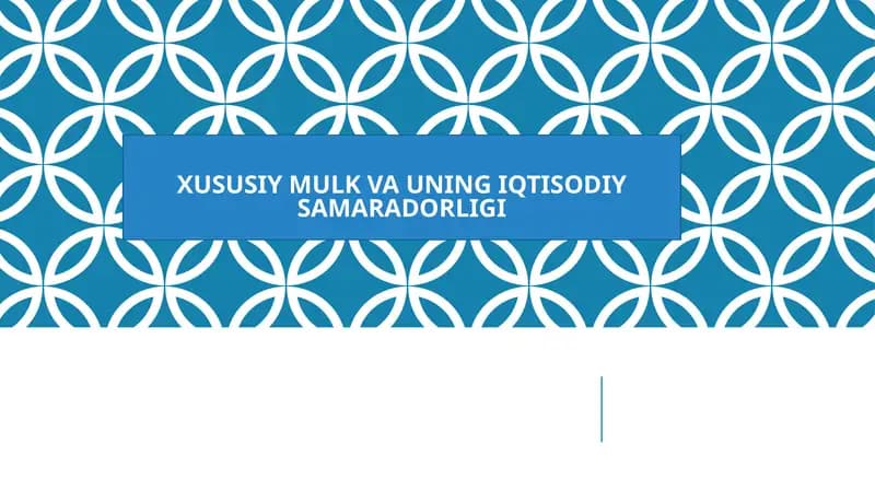 XUSUSIY MULK VA UNING IQTISODIY SAMARADORLIGI